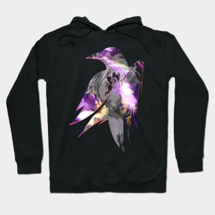 Raven's cloak black mark glitch Hoodie